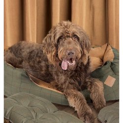 Hundeseng i tweed Hunter 35"